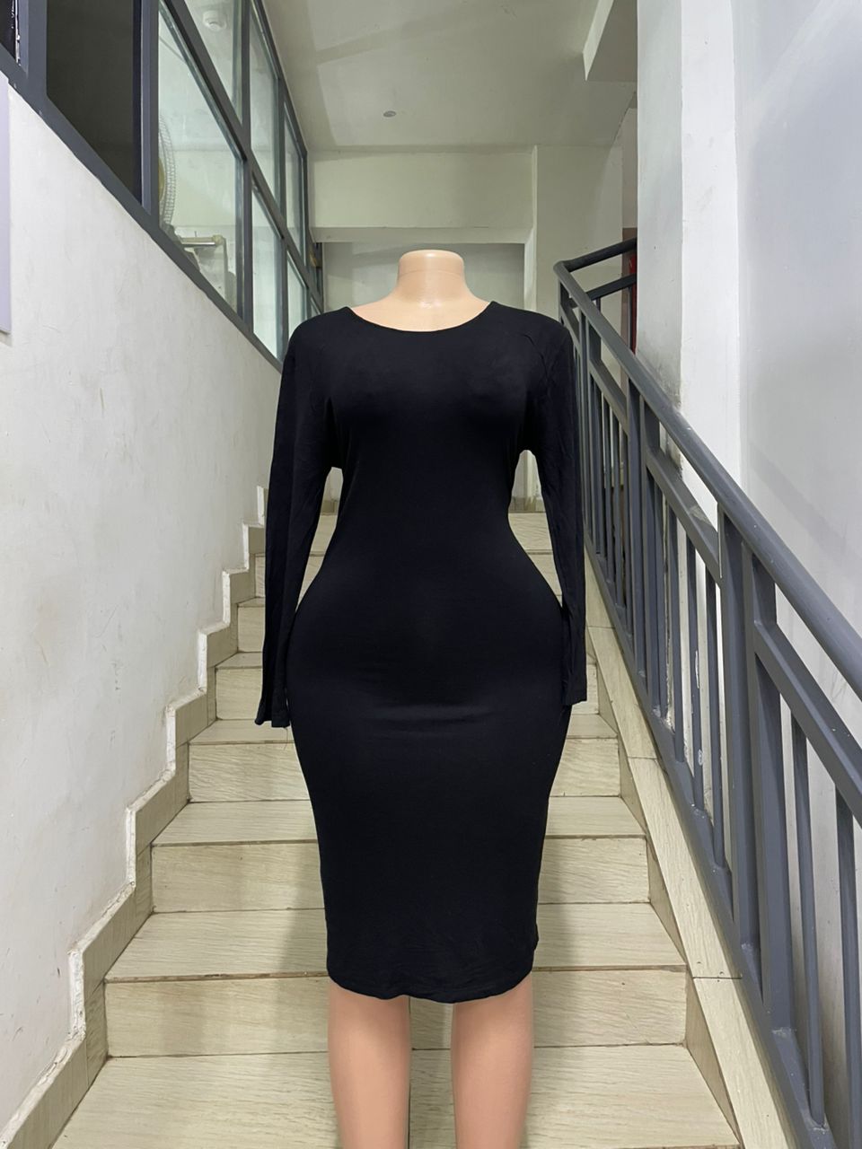 Abelia Product Image