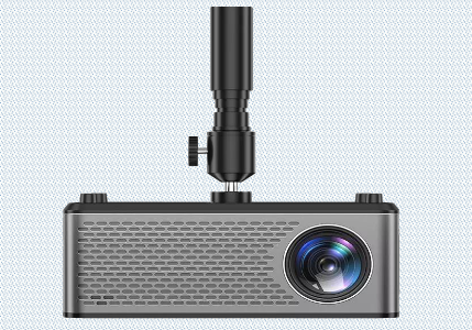 Abelia Product Image