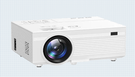 Abelia Product Image