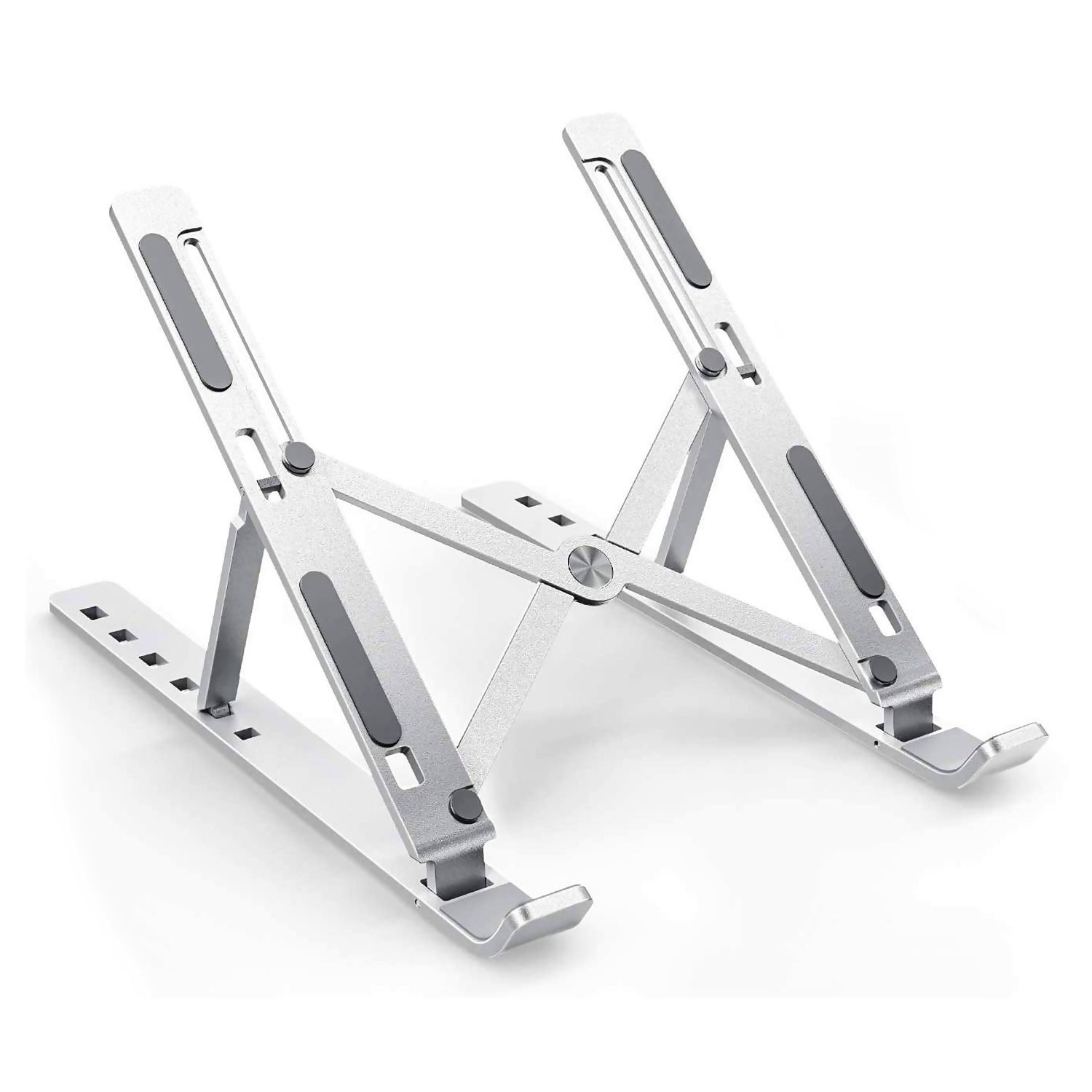 Abelia Product Image